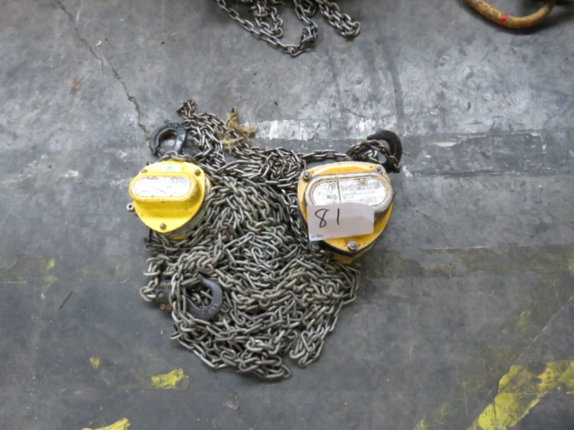 1 Muratz 250kg & (1) Yale 500kg Chain Hoists As Lotted