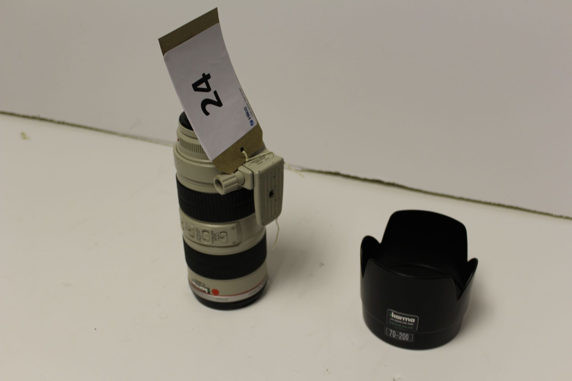 Canon EF70-200mm Zoom Lens