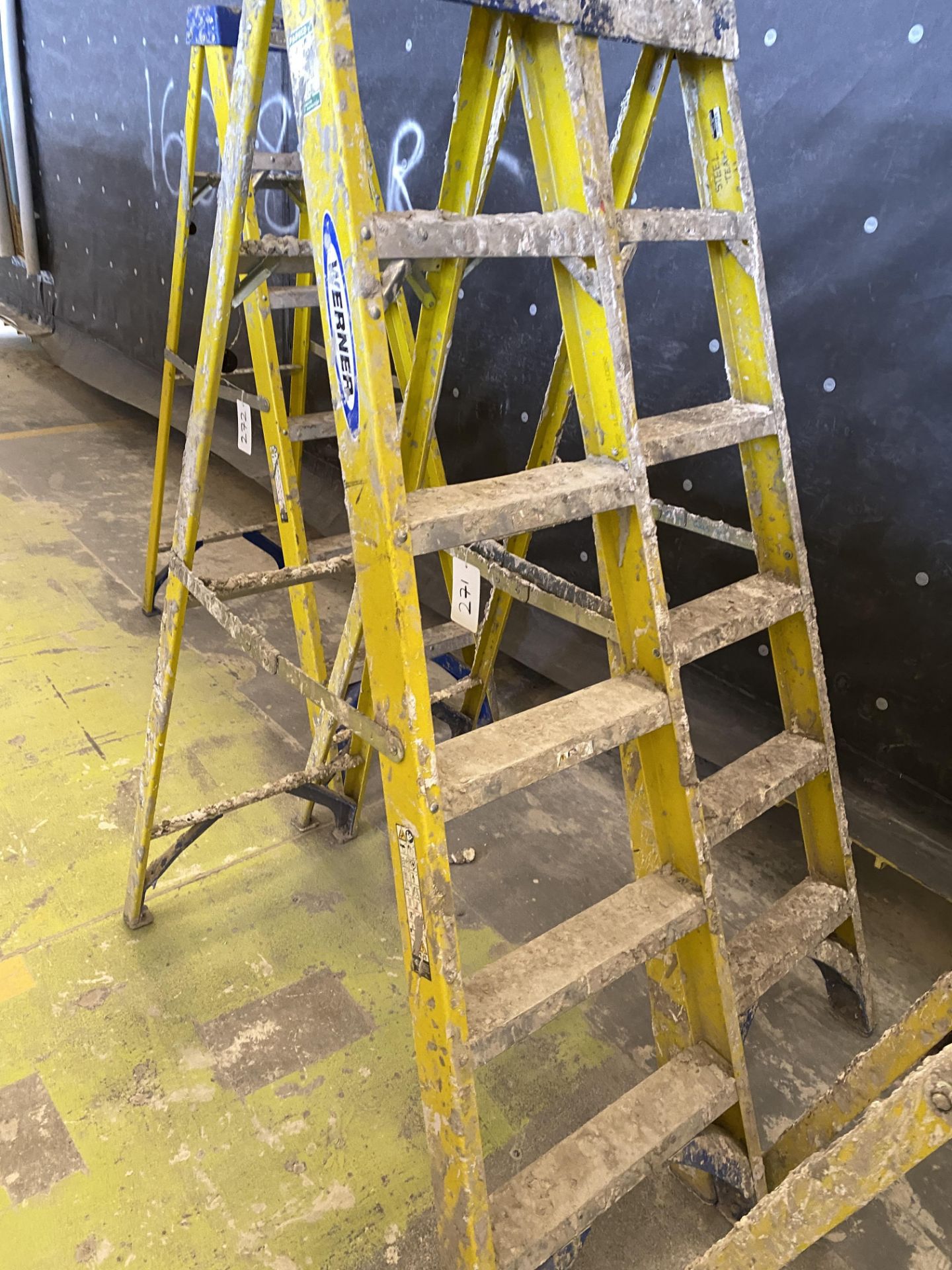 2: Werner 5 Step Folding Ladders
