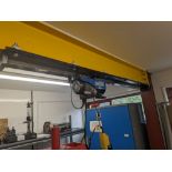 1: Draper 125/250kg Electric Hoist on Linear Bearing Rail