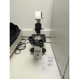 Motic, AE31E, Trinocular Microscope, Serial No. 1301000123521
