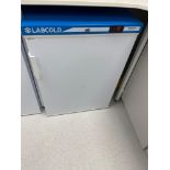 LabCold, RLVF0417, 124L Lab/Medical Freezer