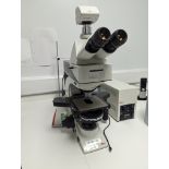 Leica, DM2500, LED Optical Microscope, Serial Number 400817 (2015)