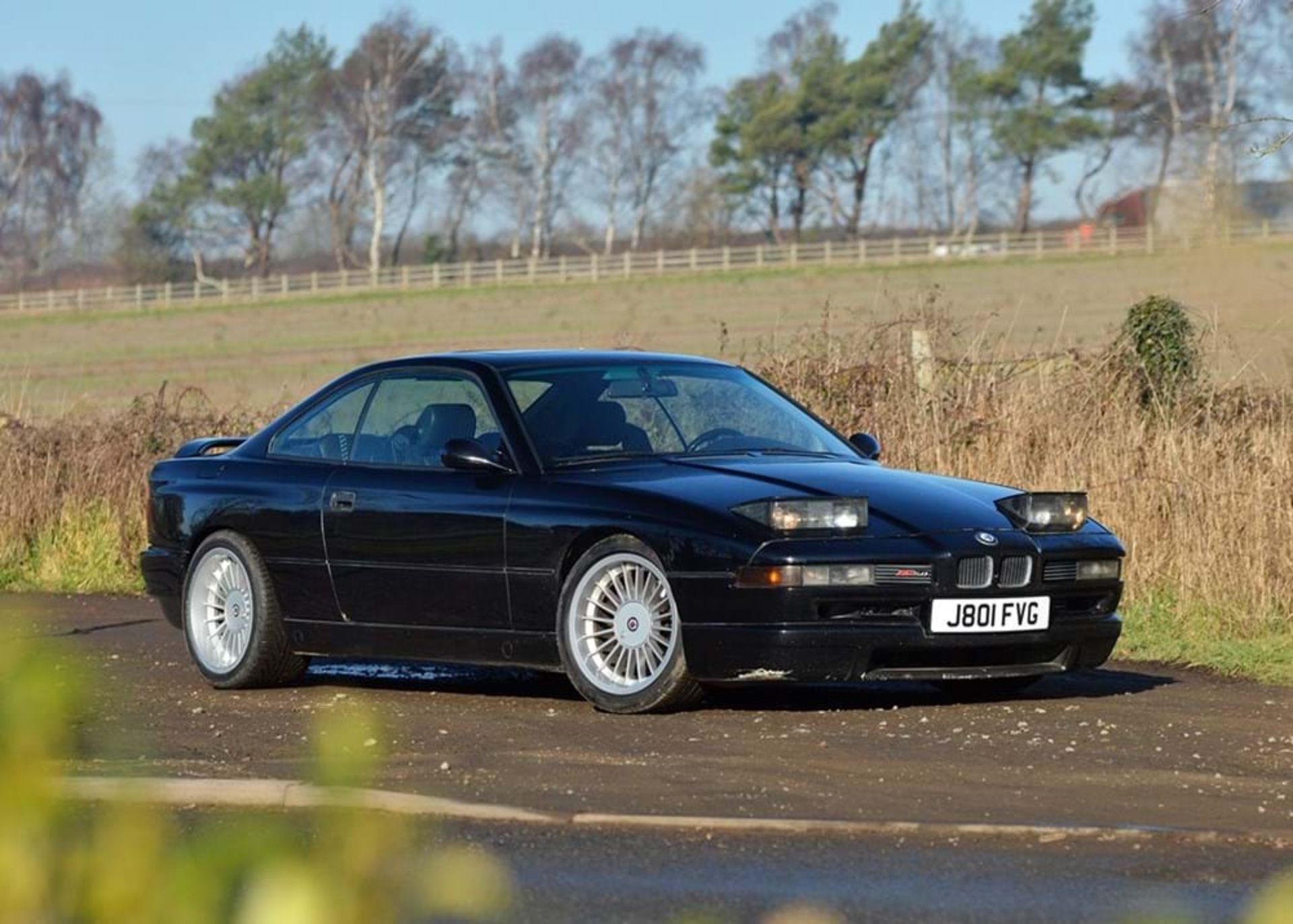 1991 BMW Alpina B12 E31 Coupé (5.0 litre)