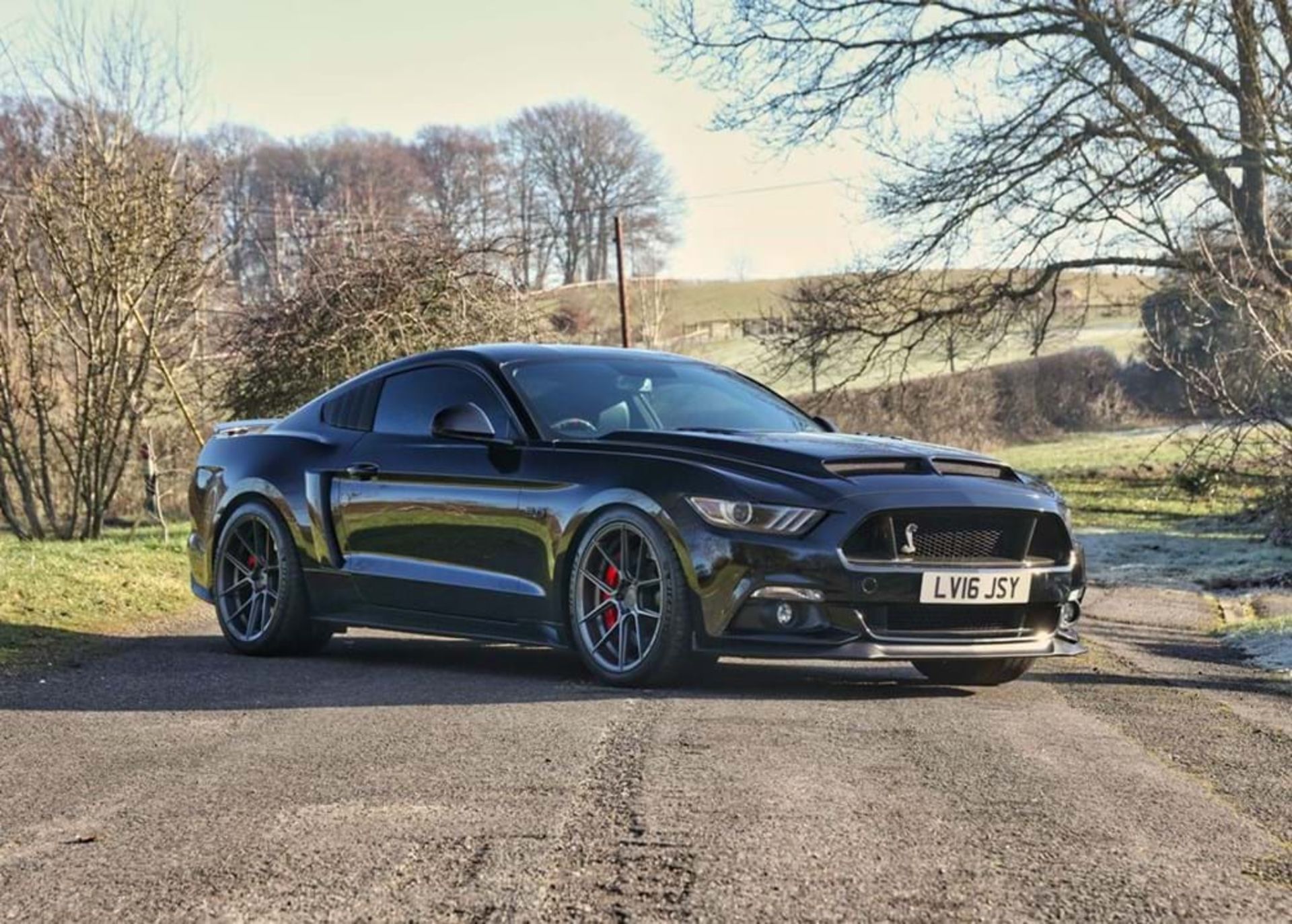 2016 Ford Mustang GT Coupé (Supercharged)