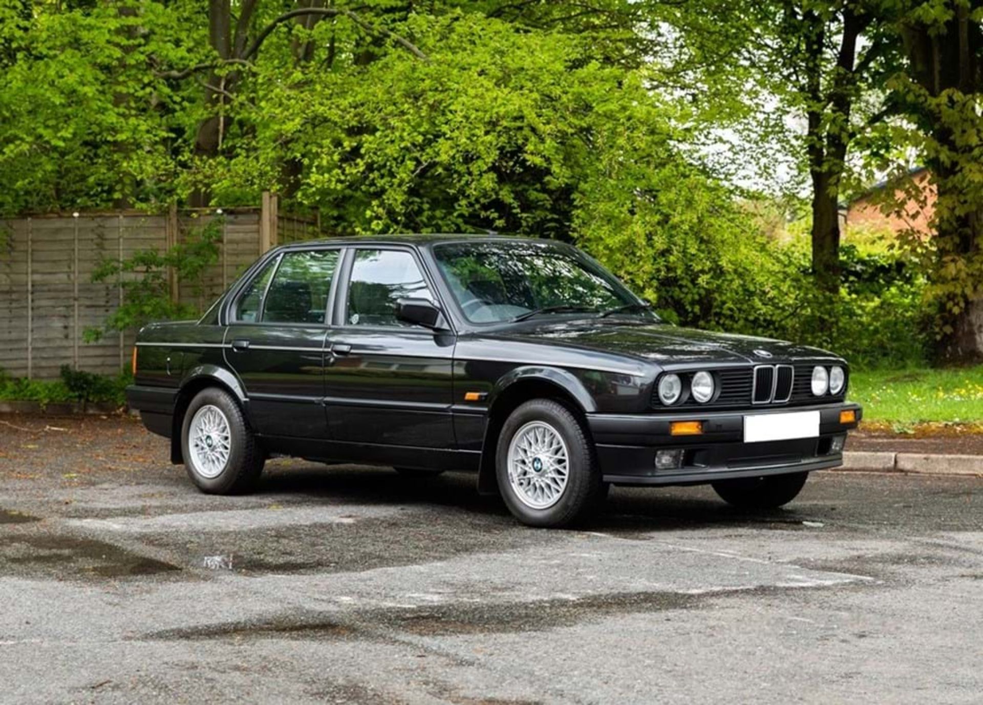 1991 BMW 316 Lux