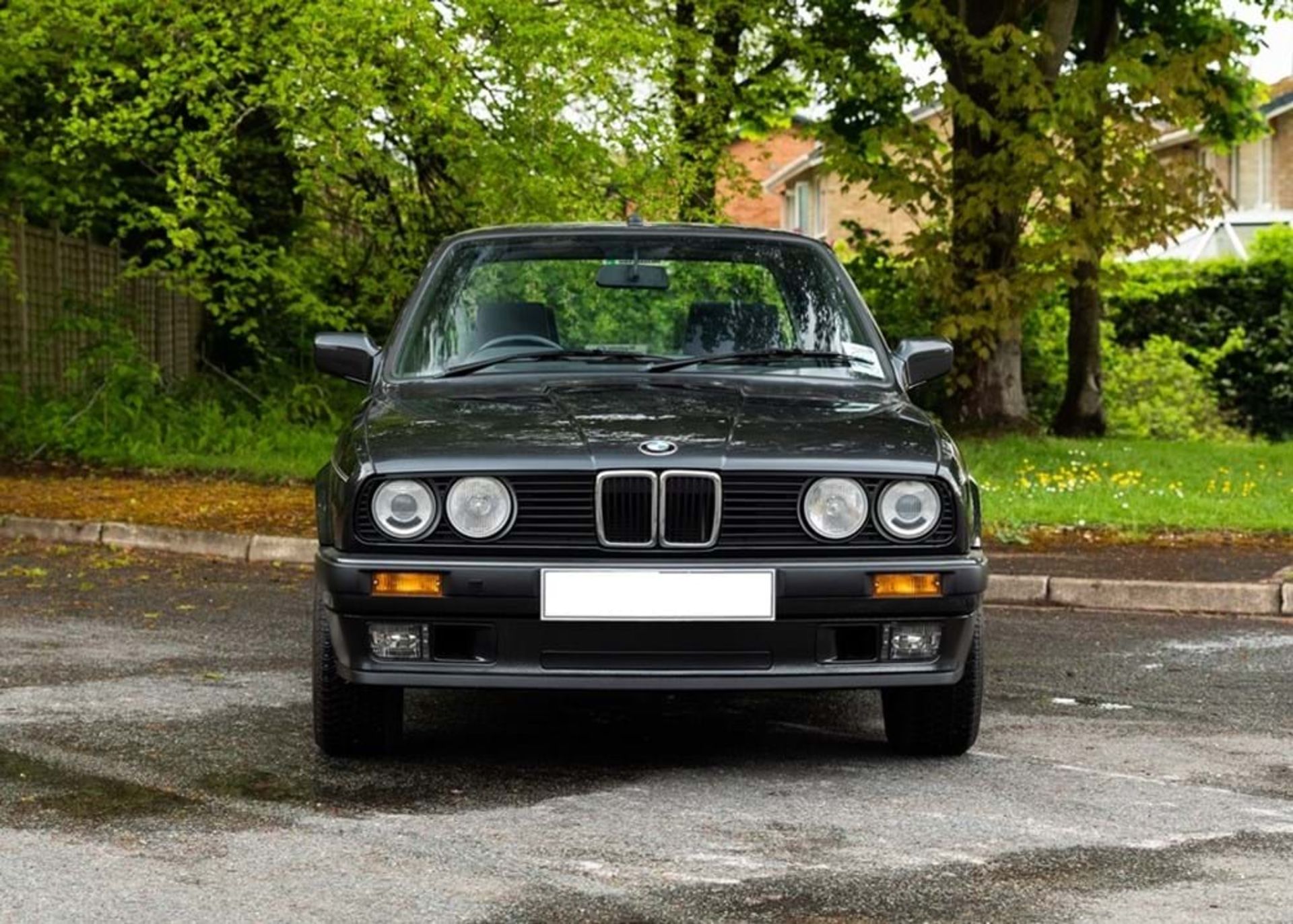 1991 BMW 316 Lux - Image 6 of 10