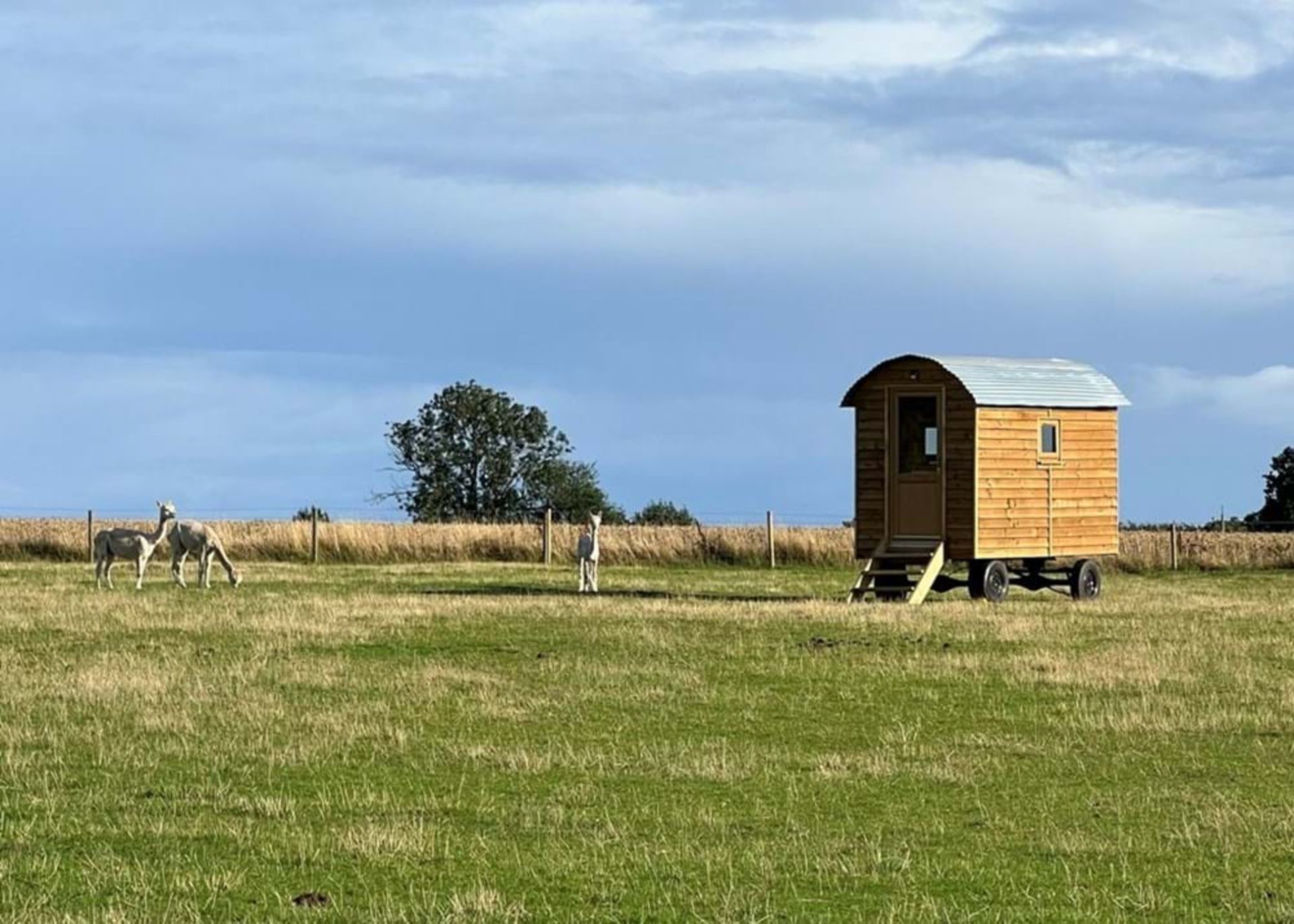 2023 Shepherds Hut - Image 6 of 8