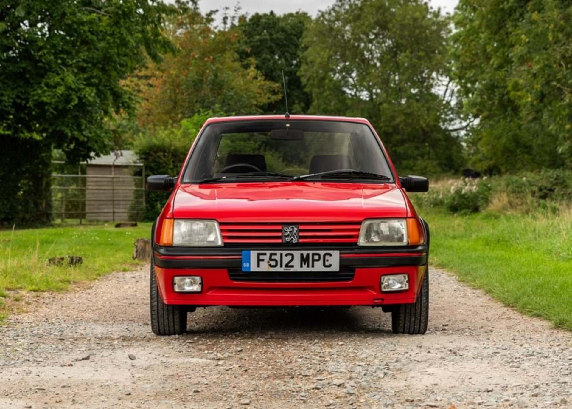 1988 Peugeot 205 GTi (1.6 litre) - Image 6 of 10