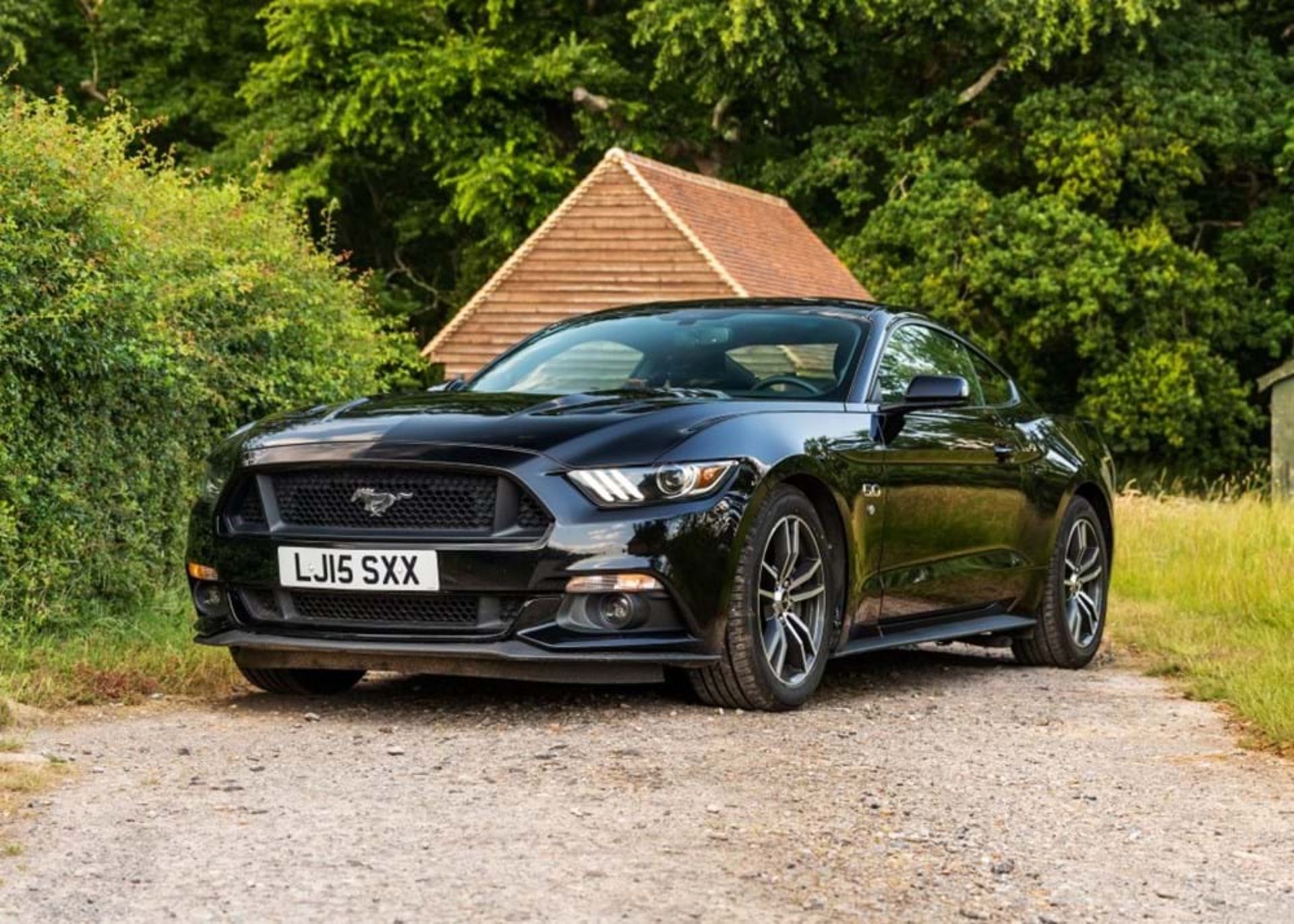 2015 Ford Mustang 5.0 Litre