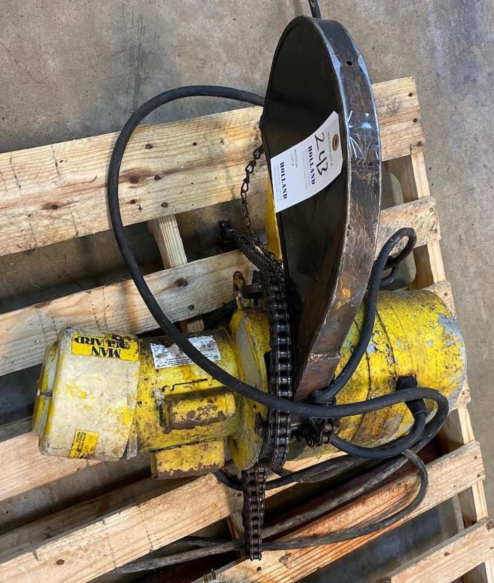 Budgit 1/4 ton hoist