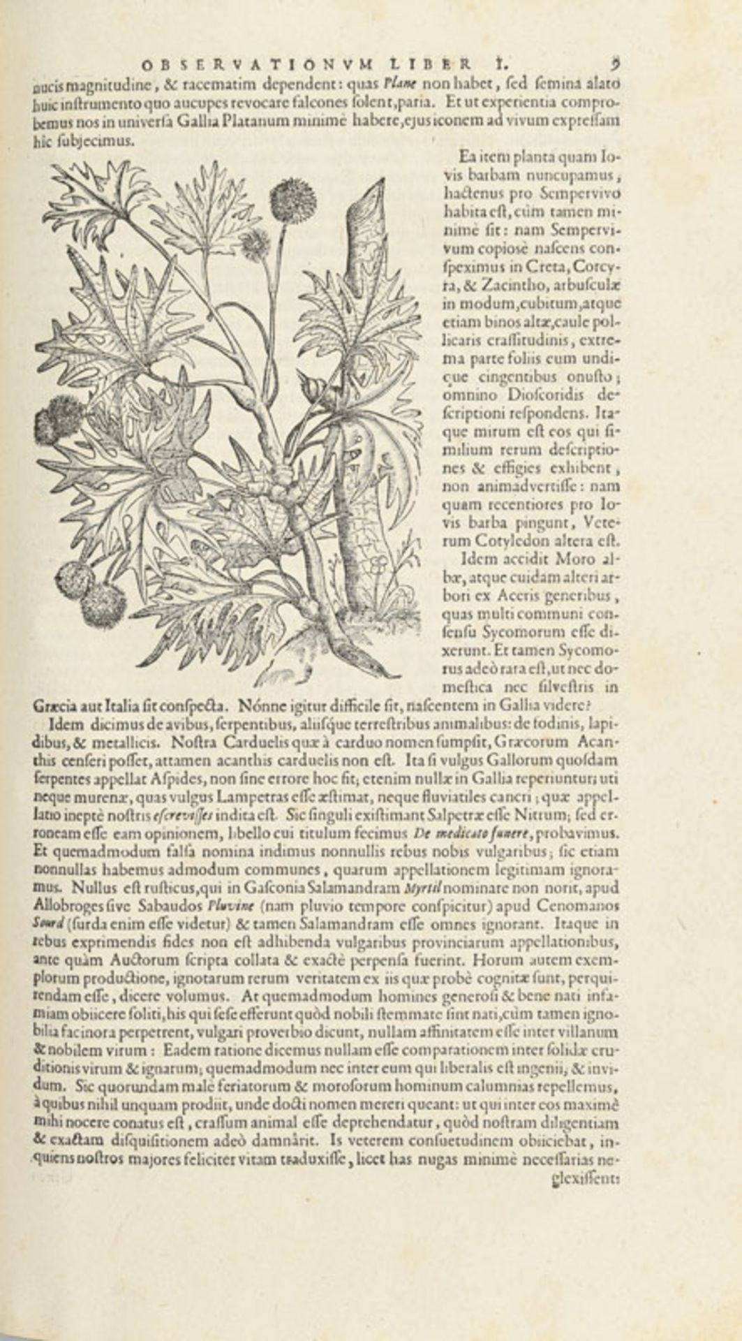 L'ÉCLUSE (Charles de). Exoticorum libri decem. Leyde, Plantin-Raphalengius, 1605. 1 vol. in-folio pl - Image 6 of 6