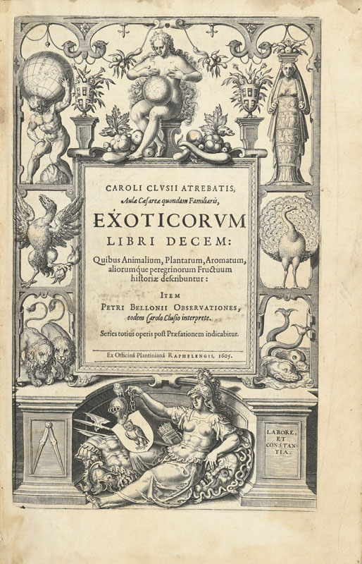 L'ÉCLUSE (Charles de). Exoticorum libri decem. Leyde, Plantin-Raphalengius, 1605. 1 vol. in-folio pl - Image 3 of 6