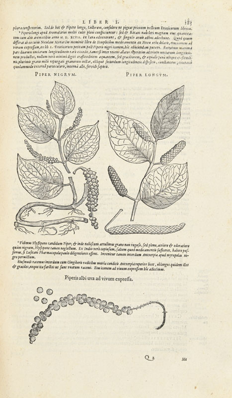 L'ÉCLUSE (Charles de). Exoticorum libri decem. Leyde, Plantin-Raphalengius, 1605. 1 vol. in-folio pl - Image 4 of 6