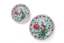 TWO FAMILLE ROSE 'PHOENIX' PLATES