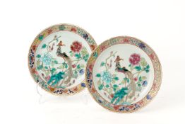 A PAIR OF FAMILLE ROSE 'PHOENIX' PORCELAIN PLATES