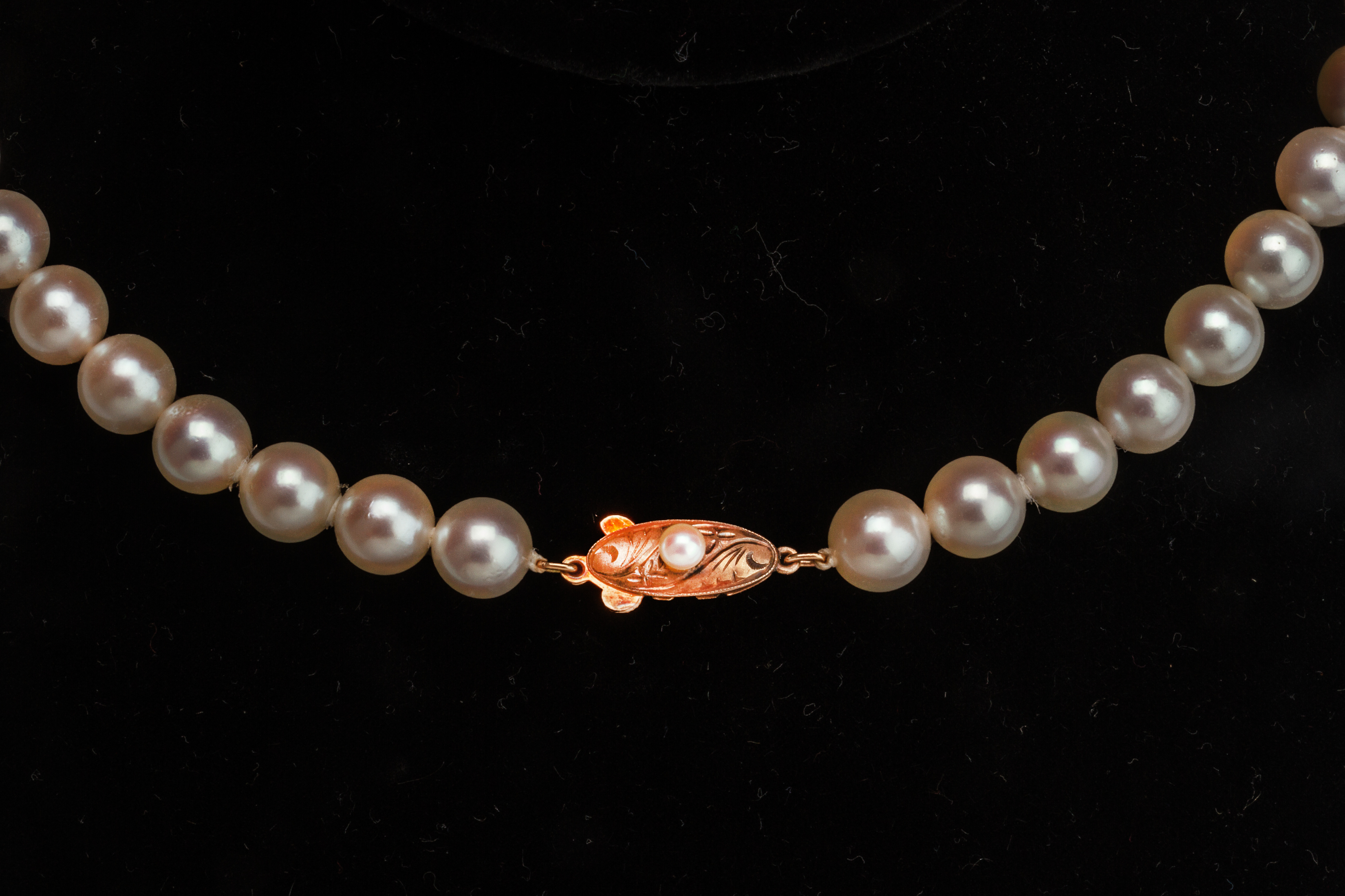 AN AKOYA CULTURED PEARL SINGLE STRAND NECKLACE - Image 3 of 8