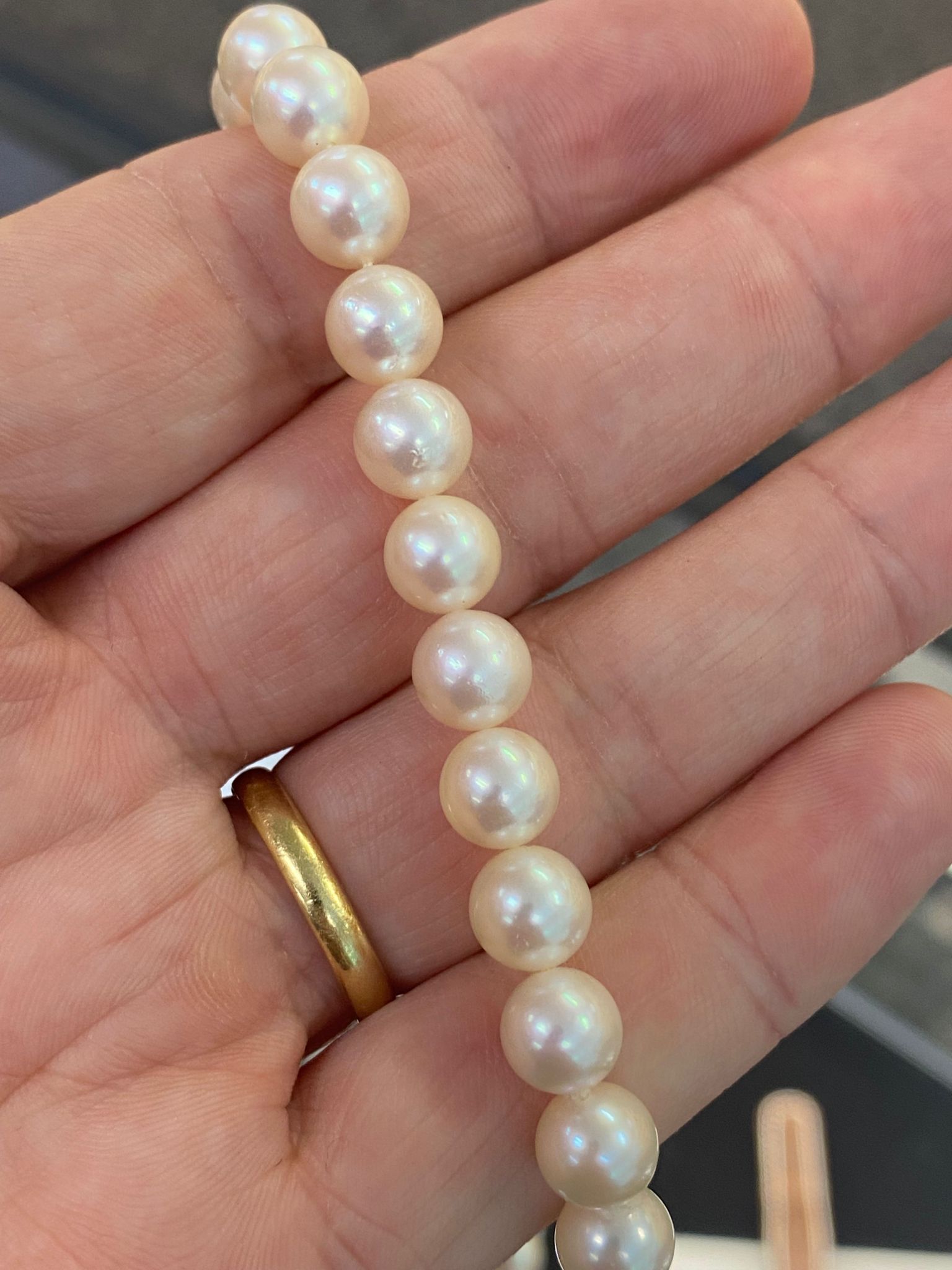 AN AKOYA CULTURED PEARL SINGLE STRAND NECKLACE - Image 8 of 8