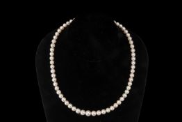 AN AKOYA CULTURED PEARL SINGLE STRAND NECKLACE