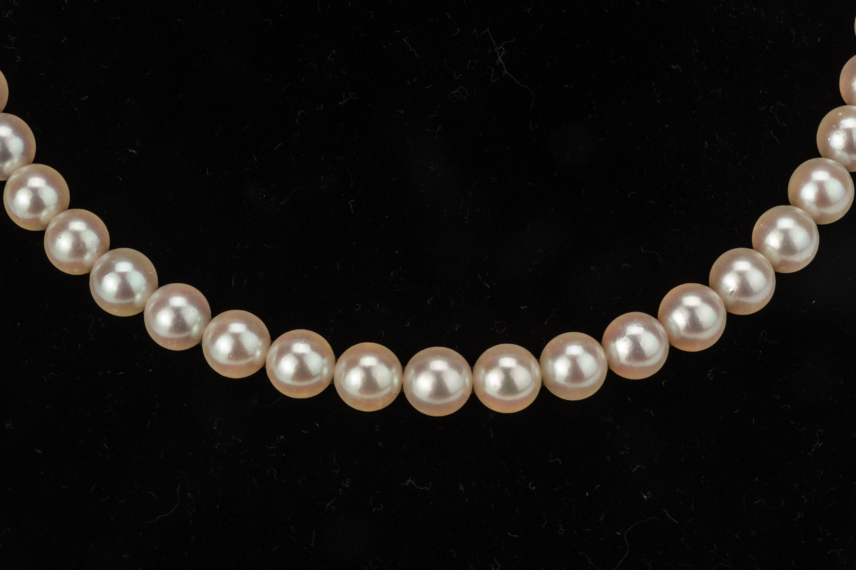 AN AKOYA CULTURED PEARL SINGLE STRAND NECKLACE - Image 2 of 8