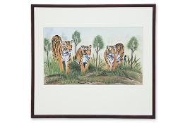 A STUDY OF THREE BENGAL TIGERS