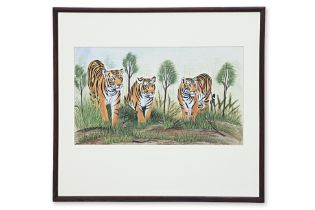 A STUDY OF THREE BENGAL TIGERS