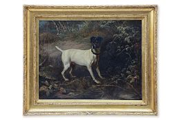 BRITISH SCHOOL (19TH CENTURY) - STUDY A JACK RUSSELL TERRIER