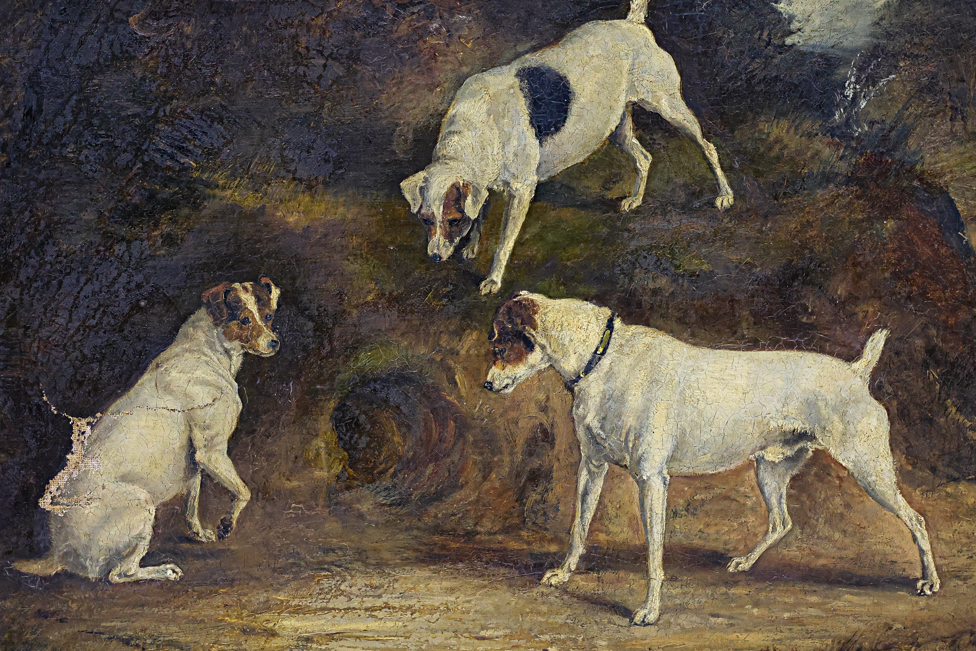 NORA DRUMMOND (1862-1949) THREE JACK RUSSELL TERRIERS 1882 - Image 2 of 3