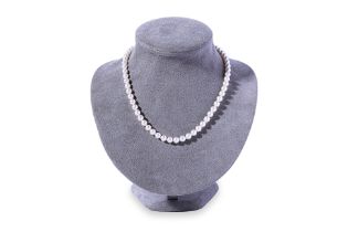 A CULTURED AKOYA PEARL SINGLE STRAND NECKLACE