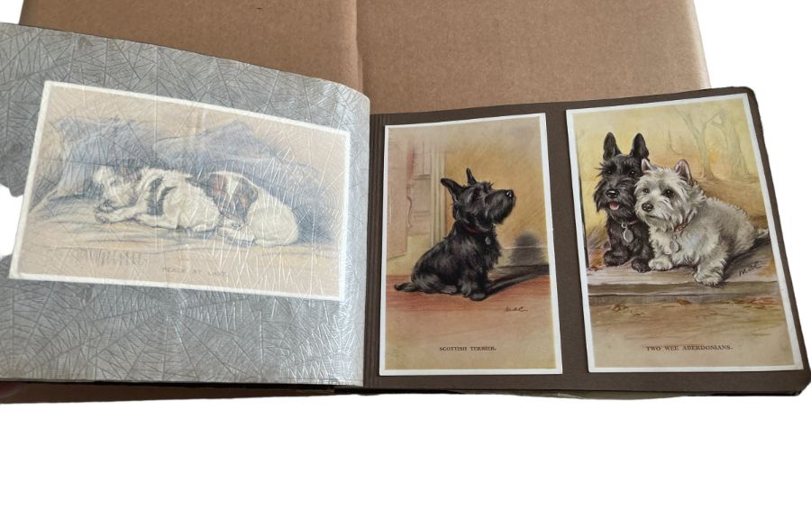 Lot of Mac Dog Postcards plus other Postcards.