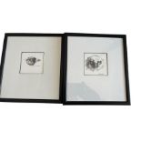 Genuine Keith Brockie Pen and Ink Drawings of Owl Chick and Chaffinch Head.