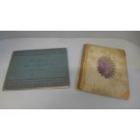 One volume, Flowers and How To Paint Them by Maud Naftel and a 19th Century album of pressed flowers