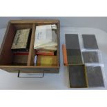 Approximately seventy glass plate negatives, early 1900-1930