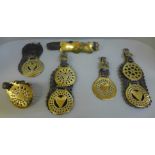 A collection of horse brasses on leather straps, eight brasses in total