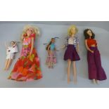 Sindy and other dolls (5)