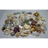 Fifty brooches