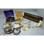 Assorted jewellery including Alberts and rolled gold