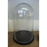 A glass dome, on black base