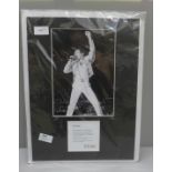 A Star Editions celebrity collectors range, Freddie Mercury, Queen mounted photograph, 167/555