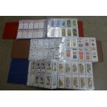 Three albums of cigarette cards, John Player, Ogdens, etc.