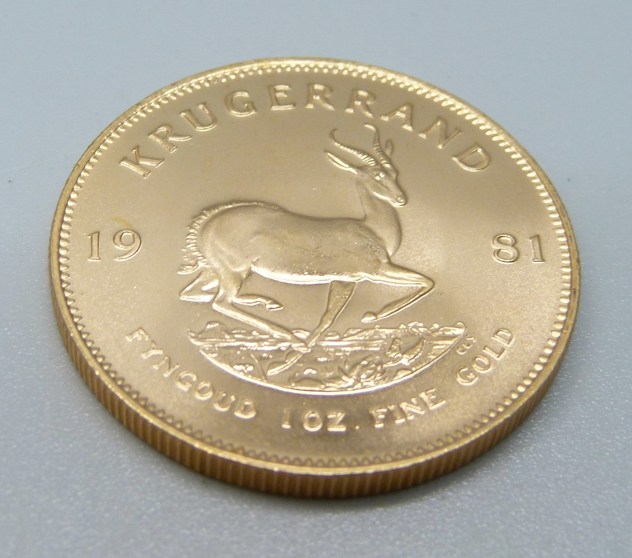 A 1981 1oz fine gold krugerrand