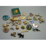 Assorted brooches, mainly animals