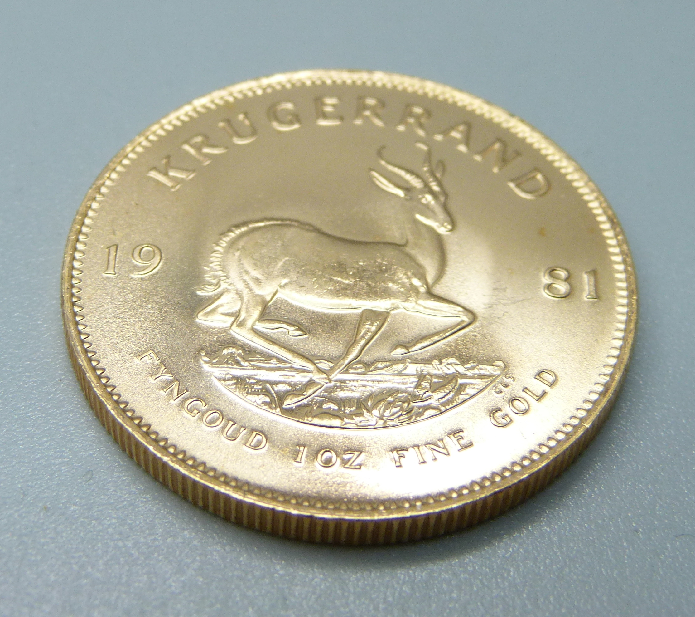 A 1981 1oz fine gold krugerrand