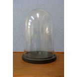 A glass display dome, on black base