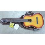 An acoustic guitar with case