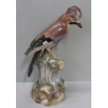 A 19th Century Meissen model of a jay perched on a tree stump, wing tips a/f, 38cm