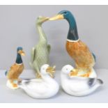 A Beswick model mallard, 756-1 and 756-2, a/f, and three other model birds