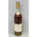 One bottle of vintage Hine Grande Champagne Cognac