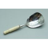 A William IV silver caddy spoon with bone handle, Birmingham 1830, makers Taylor & Perry
