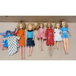 Vintage 1960s dolls; Mini Sindy, Tressy, Toots, Tammy, Pepper and Midge